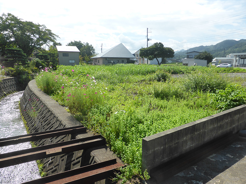 岩井沢 売地 03